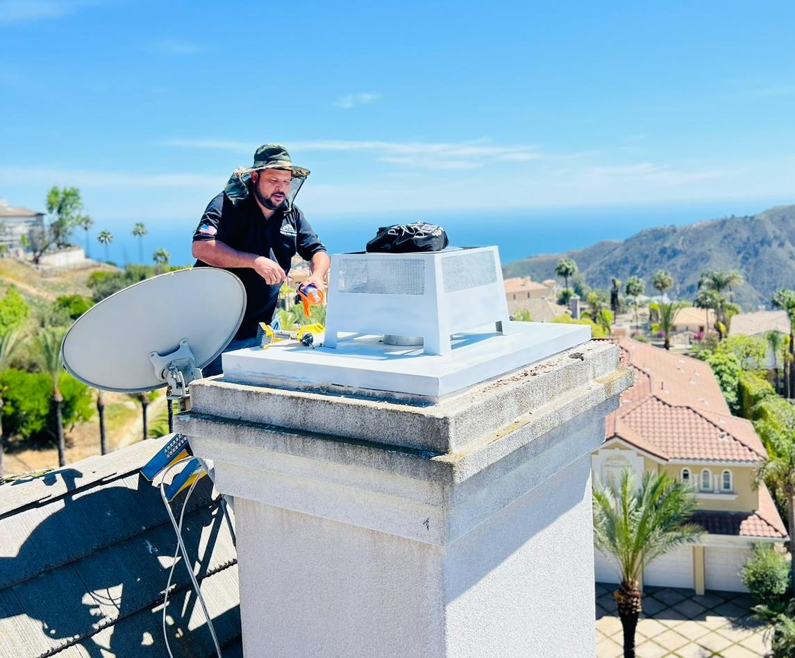 chimney sweep service